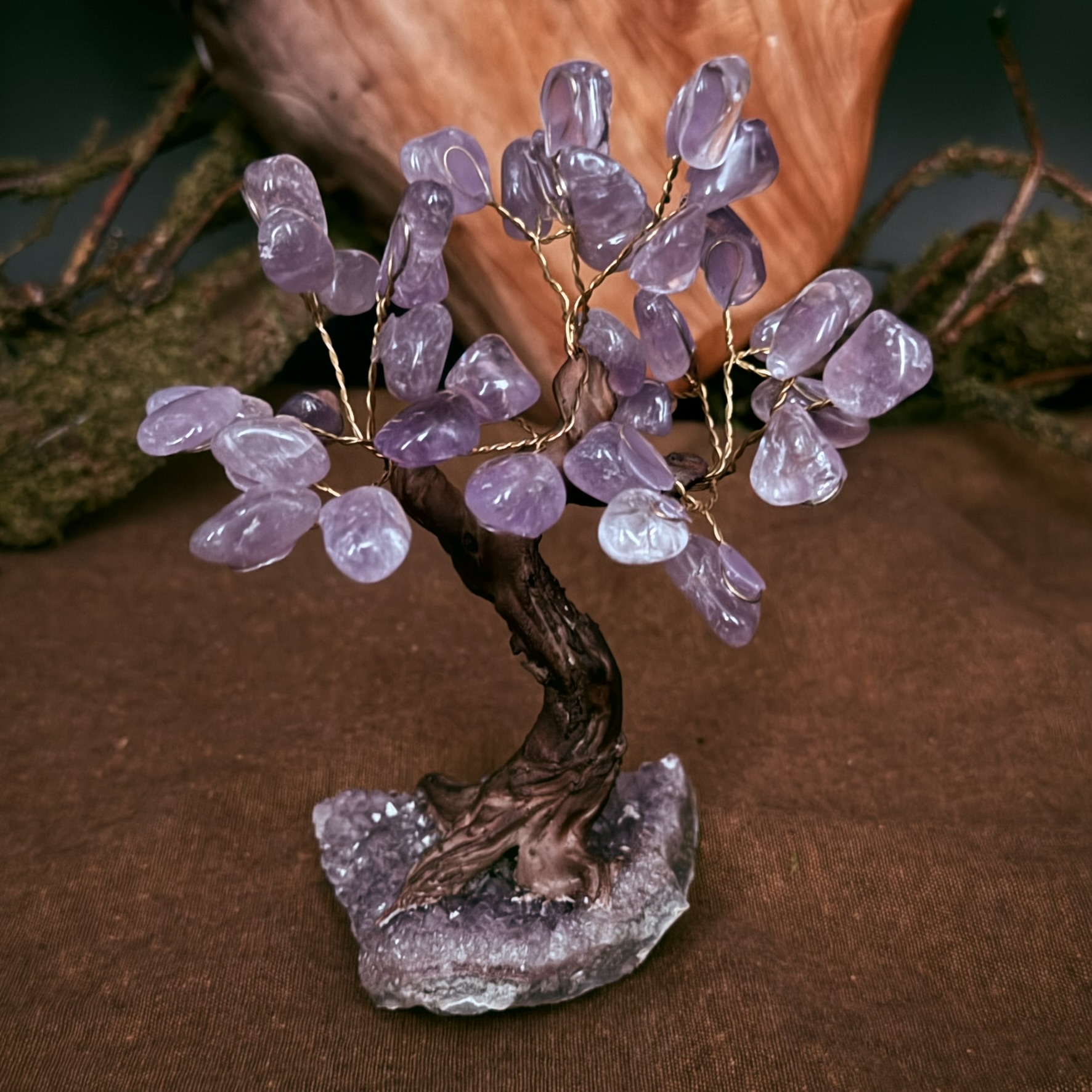 The Heart of Belief - Image 3